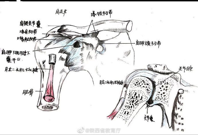  种颜色|护理学的笔记，需要多少种颜色？