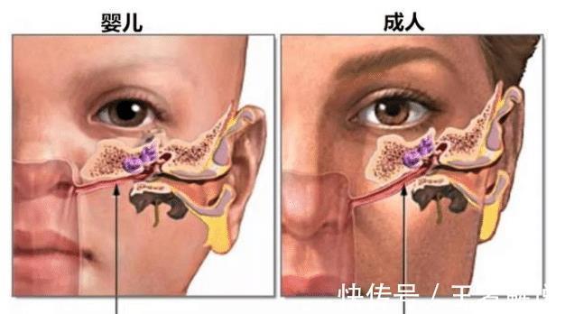 父母|6个月宝宝喜欢“抓耳朵”是暗示生病?背后诱因,新手父母要知道