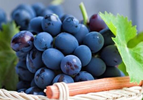 血管|天然“溶栓王”找到了等于吃“溶栓灵”,一个星期血管就干净了