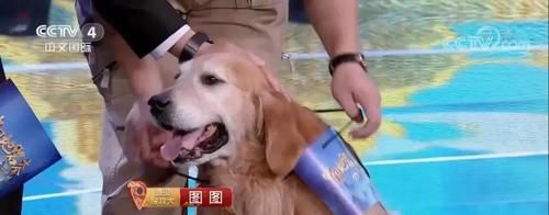 国产综艺的一股清流,我带头安利