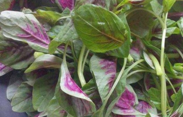 养颜|女性坚持吃3种食物,排毒养颜、延缓衰老,爱吃就赚了!