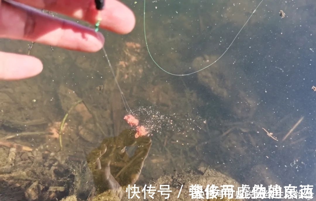 饵料中拉丝粉太多的利与弊,解决办法其实很简单,只要不嫌麻烦