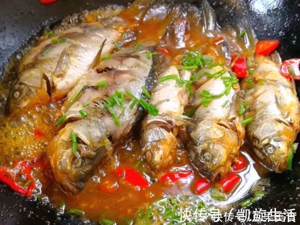 野生|一看就会的红烧鲫鱼，野生的小溪鲫鱼鲜的眉毛掉下来