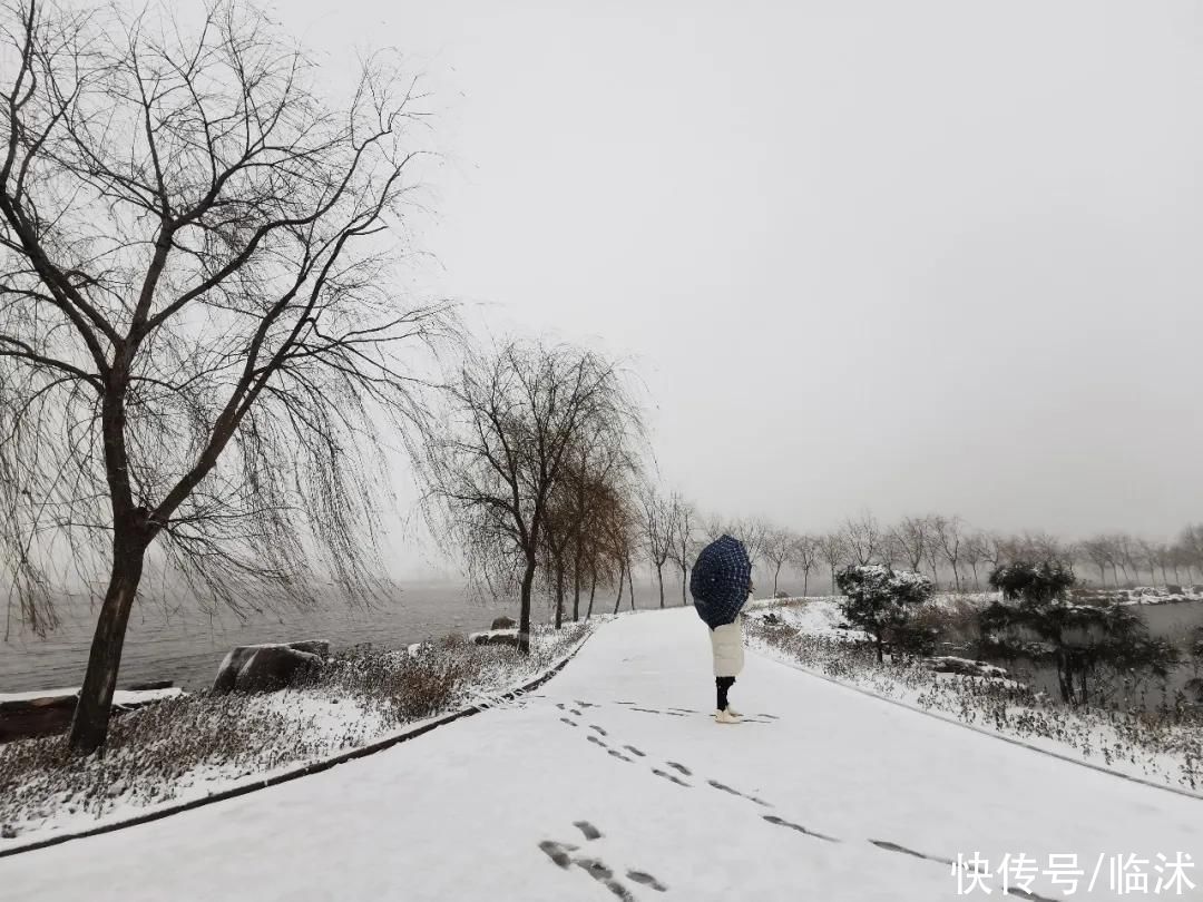 心动的感jio !！临沭绝美雪景大片，如诗如画