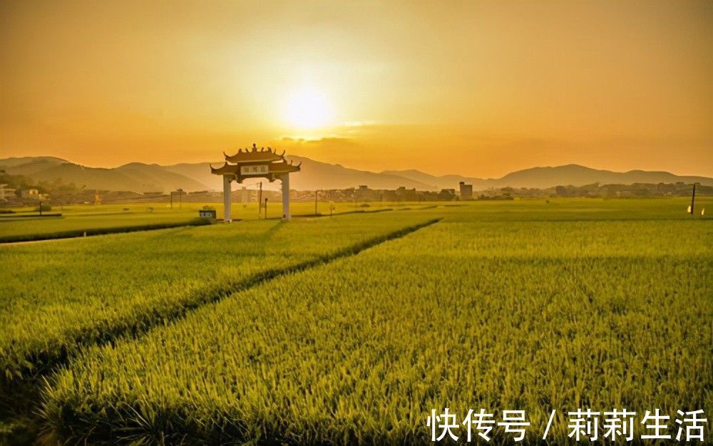 文案!推荐5本都市小说,纯粹种田文,没有修仙等乱七八糟的,悠闲生活