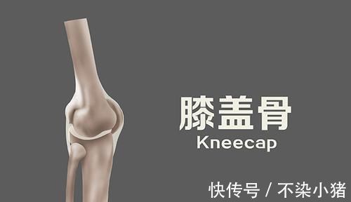 损伤|走路健身反而伤了膝盖，原因是什么运动时，如何做才不伤膝盖