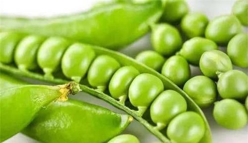 女性到了中年,推荐3种食物,排毒润肤,降压减脂,增强体质