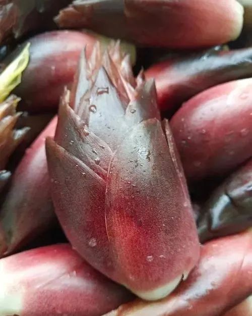 洋霍|兴文这种“亚洲人参”安逸得很，保证你没吃过...