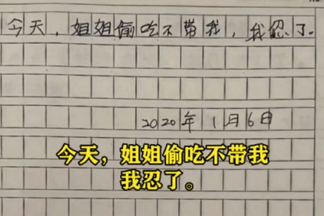 仇恨|弟弟的日记本里,记满了对姐姐的“仇恨”,网友却说很温馨有爱