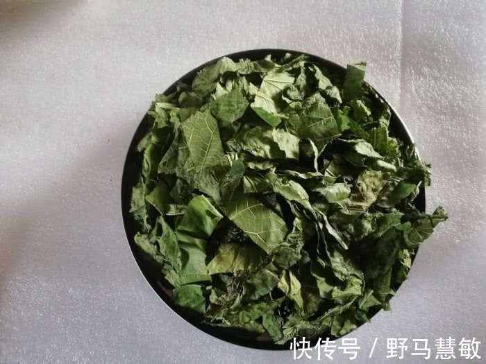 莓茶|糖尿病人的福星来了,喝水时加点它,降血糖,让你不做“药罐子”
