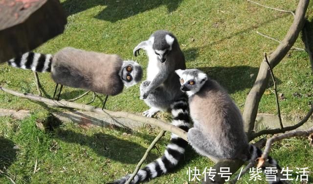 花式秀!儿子画成什么样,爸爸就能P成什么样子,花式秀父爱坐拥百万粉丝