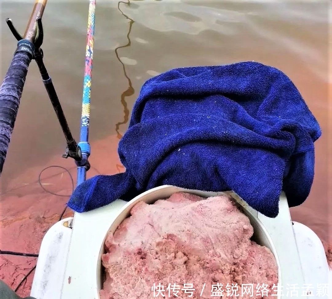 鲢鳙|钓鲢鳙用手竿拉鱼才带劲,这几点做好,不是你拉鱼,就是鱼拉你