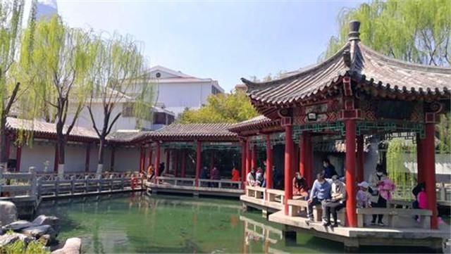 山东省一五A公园，成功“乌鸦变凤凰”，跻身为了“山东新宠”