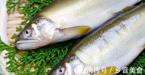 口味|寿命仅1年的西瓜口味的鱼,不用清内脏,曾是朝廷贡品!
