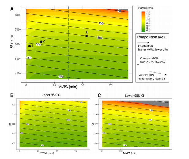 研究人员|每天多少运动量能抵消久坐的危害？