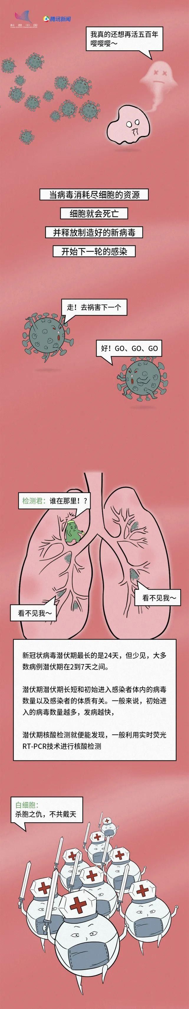 病毒|新冠大作战丨漫画图解新冠病毒到底是一种怎样的生物?？