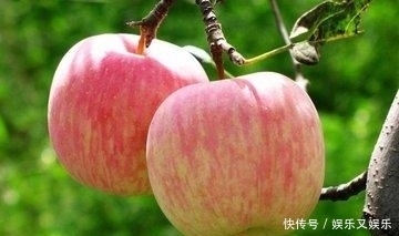 食物|夏季降血脂离不开这些食物,每天吃一点,给身体来一次大清洗!