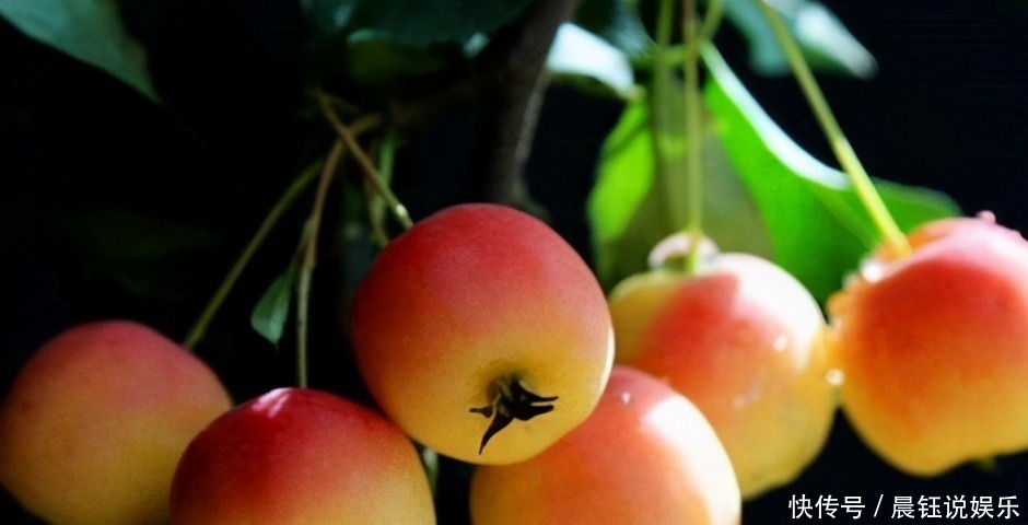 降脂|女性养生,常吃3种食物,排毒清肠,降压降脂,增强抵抗力!