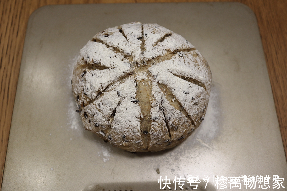 高筋面粉|在家烤欧包，拌拌揉揉烤烤，酥香焦脆又柔软，低脂早餐主食有了