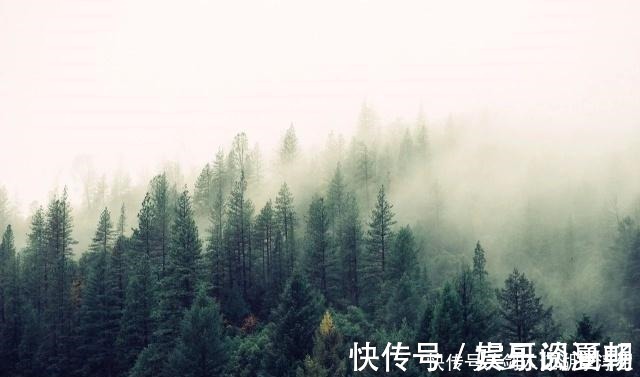 沧桑&八首诗词,八种眼泪哪一种,是你曾经的心情