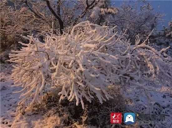 组图|组图｜淄博这场雪用实力说话 这些地方最美