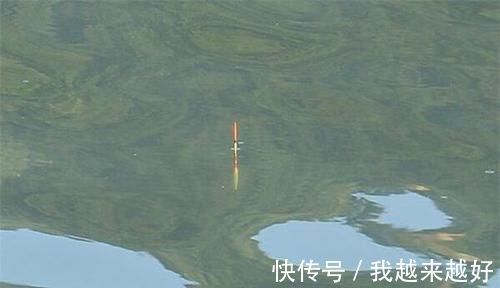 铅坠|一看就懂,5步调漂方法,按照步骤一步步来,调漂快又准!