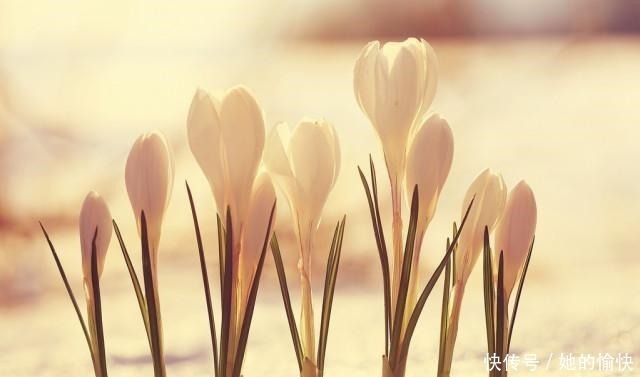 上善若水|人生路上，悟透这五大智慧，你会越活越好