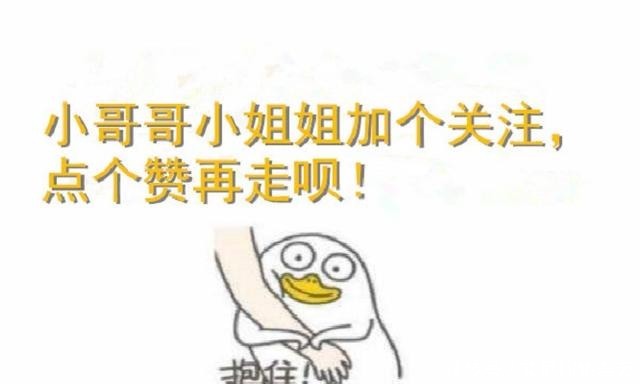 分封制|大秦的崛起之路：从没有封地到一统六国