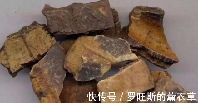 结节|这副经典中药方为何治疗结节、肿瘤疗效好,因为由4种虫类药组成