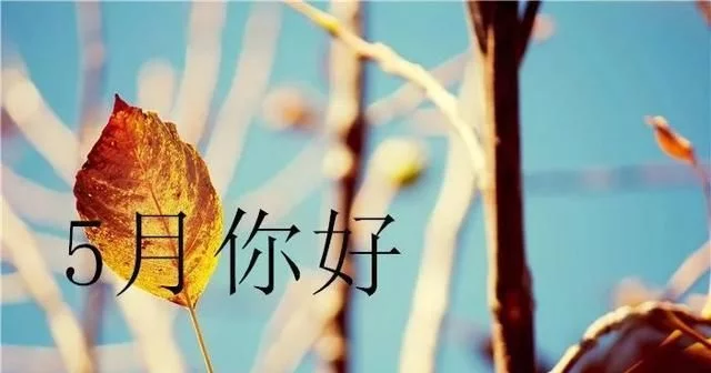 四月再见五月你好的图片