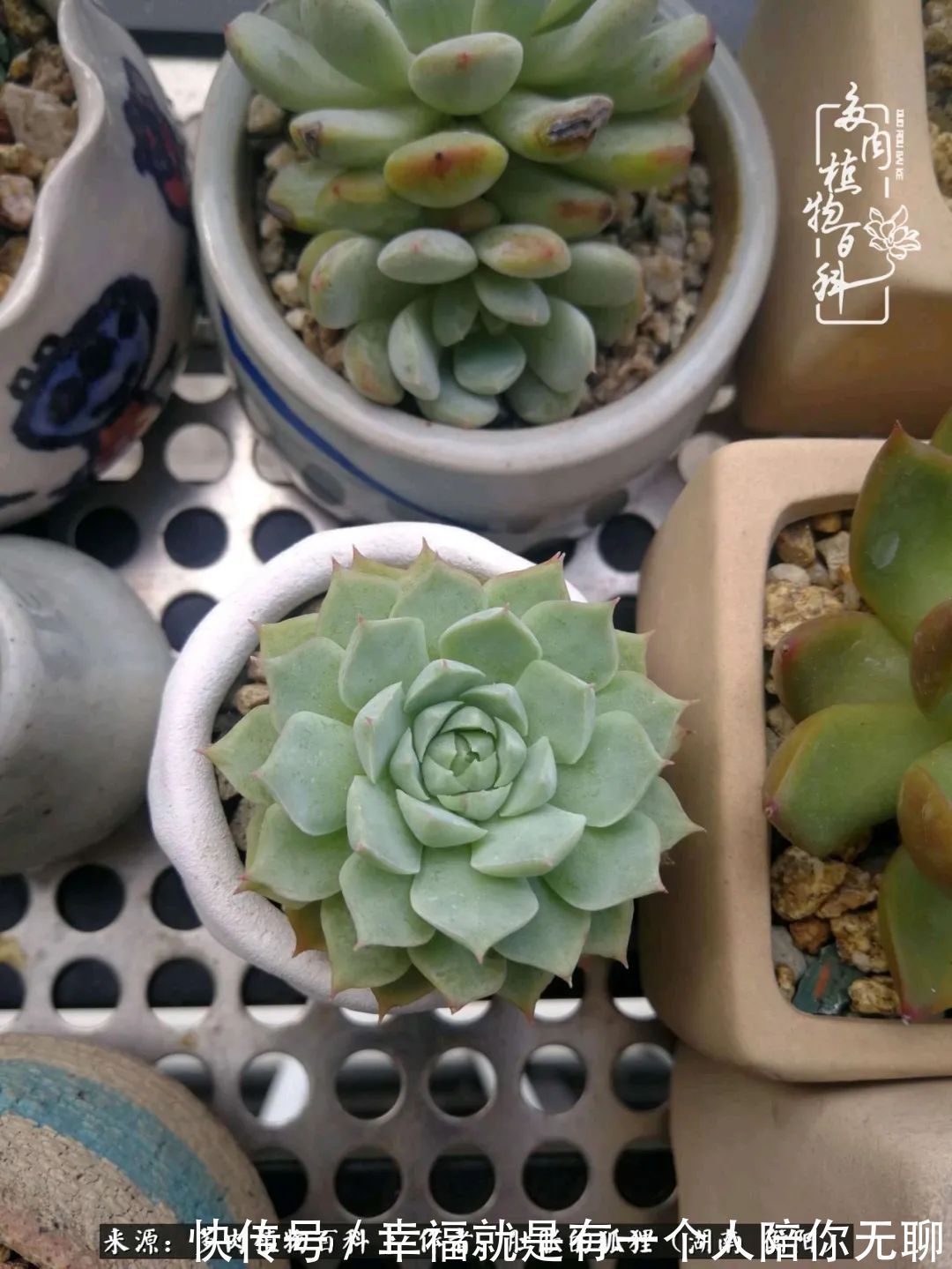 爱这一片缤纷的色彩，因为我们都是好色之徒！