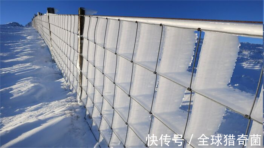 摄影|35张“活久见”的完美图片,强迫症瞬间被治愈了