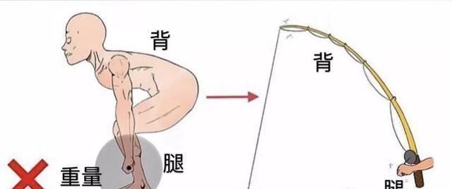 训练|5种最棒的背部训练方法,帮你打造更加宽阔厚实的背部肌群