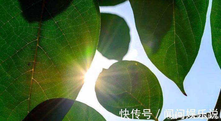 秋冬|三伏天,不吃三饭,不睡三觉,做好三防,为秋冬健康,打下基础!