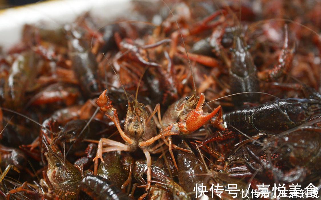 小龙虾|这才是蒜蓉小龙虾的正确做法,蒜香浓郁超美味,比外面的干净多了