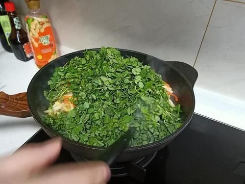 春天这菜特鲜嫩,看见别手软,有钱买不到,随便一炒自带清香