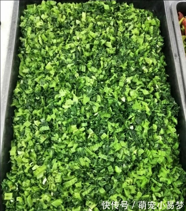 阿姨|工厂这种伙食能留得住员工吗?伙伴:看看再说
