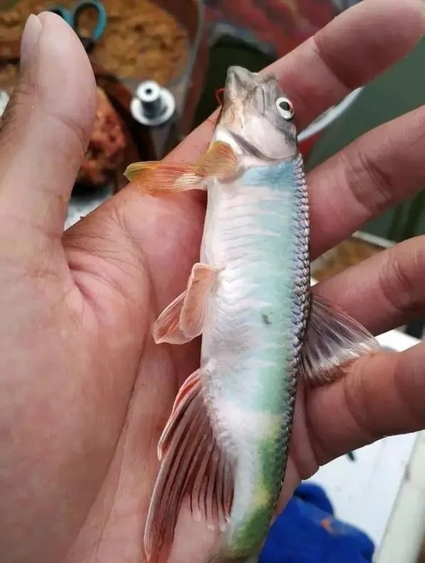 钓不到鱼是水里没鱼？这3个误区才是你十钓九空的关键，记牢了