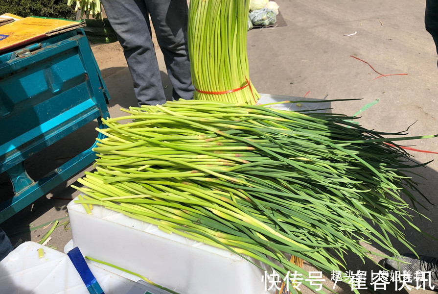 同样是蒜苔，“绿头”和“红头”有啥区别知道以后就别乱买了