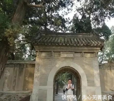 比肉还香的2种蘑菇做法,好吃不重样,我家一周做6次!