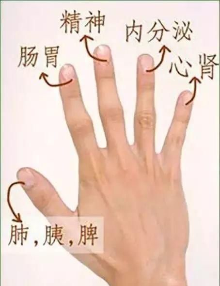 养生|五指通全身,手指养生的秘密都在这里!值得一看!