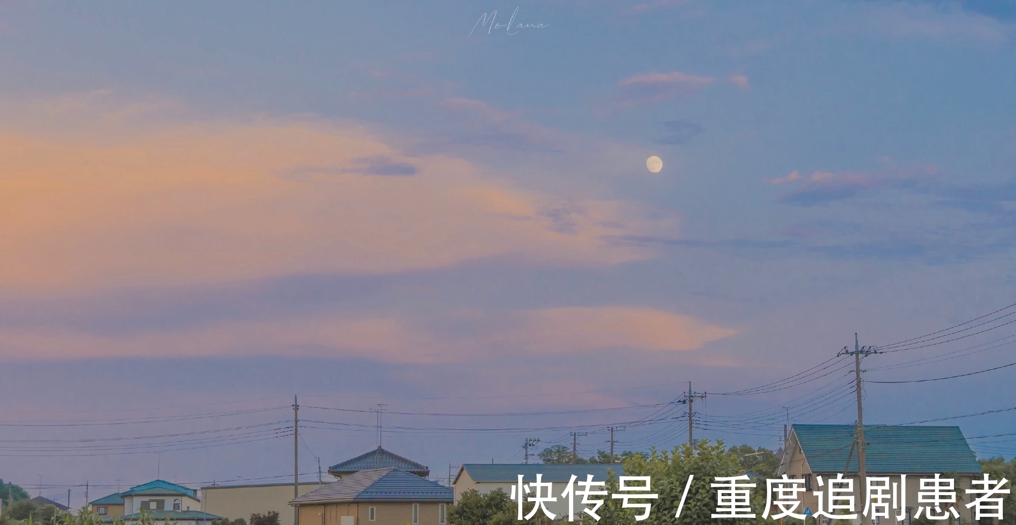 你怎么欺负人&推文茶话会|荔枝很甜大大合集 强推《你怎么欺负人》等 好好看