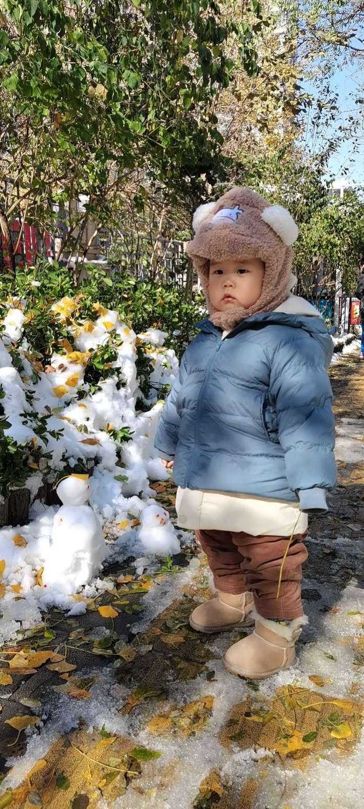 交通堵塞|「雪」今年的雪姑娘好像比较勤快