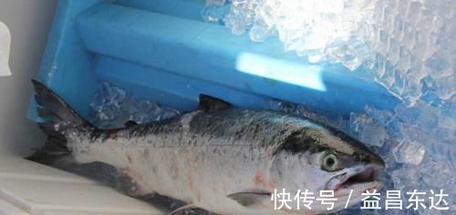 腌制品|这5种食物放在冰箱里,会坏的更快,你知道它们是什么吗?