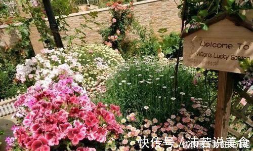 郁金香|7个绝美花园,个个美炸了天,等有钱了我也要建一个