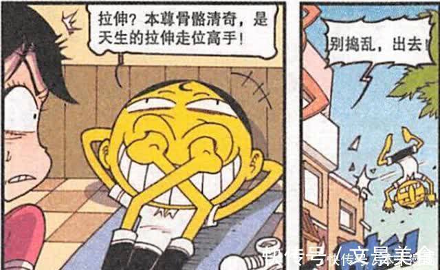 雙腳|奮豆骨骼清奇，是天生的“拉伸走位高手”，能把雙腳插到鼻子上！