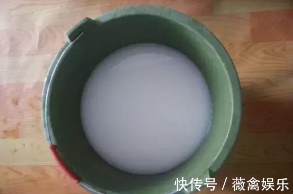 虎尾兰盆里加点2种“液体”，新芽不断，叶子挺拔，开花特香！