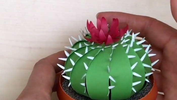 真正的懒人盆栽,不用任何管理也能花开常在!DIY纸艺手工附教程