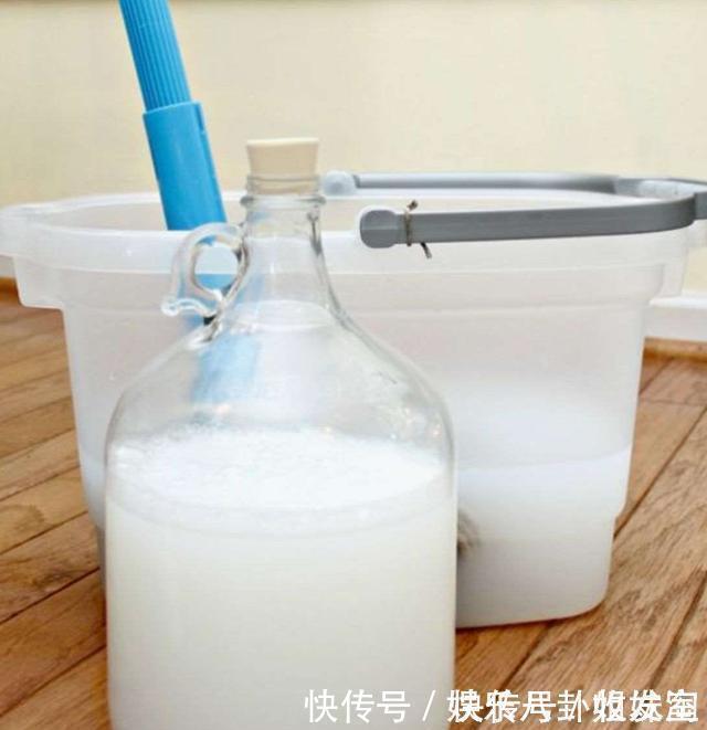 拖把|清水拖地等于白拖，看老保姆只用一个笨方法，一尘不染3天不用拖