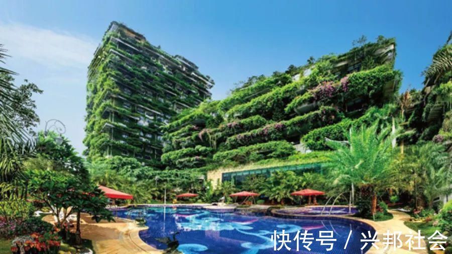 机器人|“三驾马车”齐头并进,碧桂园长期主义再被验证